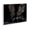 Stupell Industries Cowboy Boots with Spurs Wall Plaque By PHBurchett